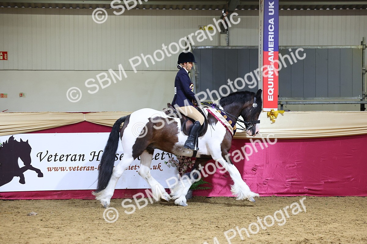 SBM_18595 - Class B Junior Champ 11-16 years