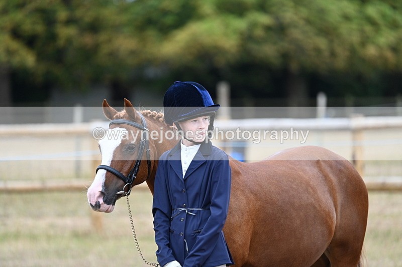 WJ7_8399 - Class 4 Prettiest Mare up to 14.2hh