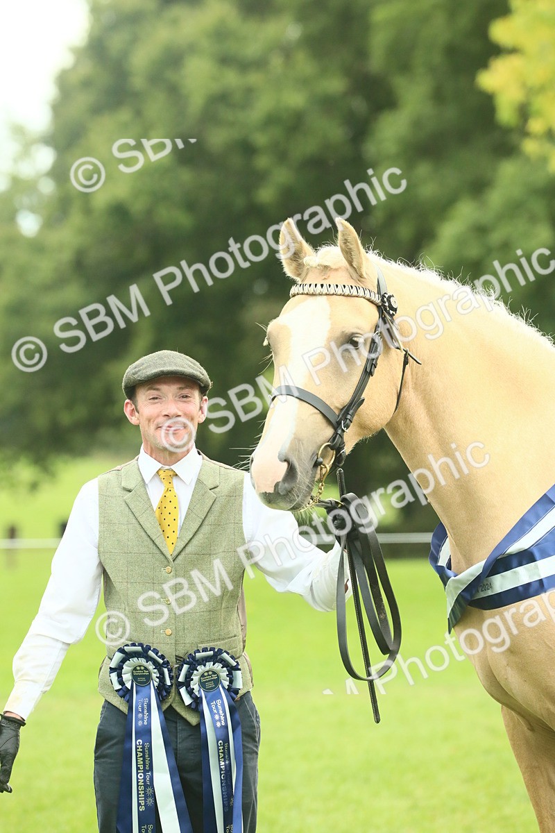 SBM_75199 - Super Supreme Championship