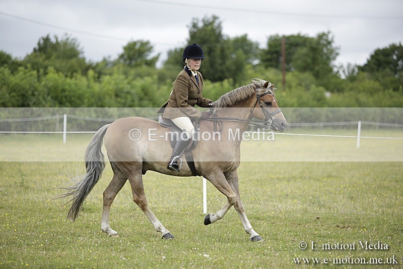 BVR160717-1293 - Ring 1 BVRC Show 16/07/17