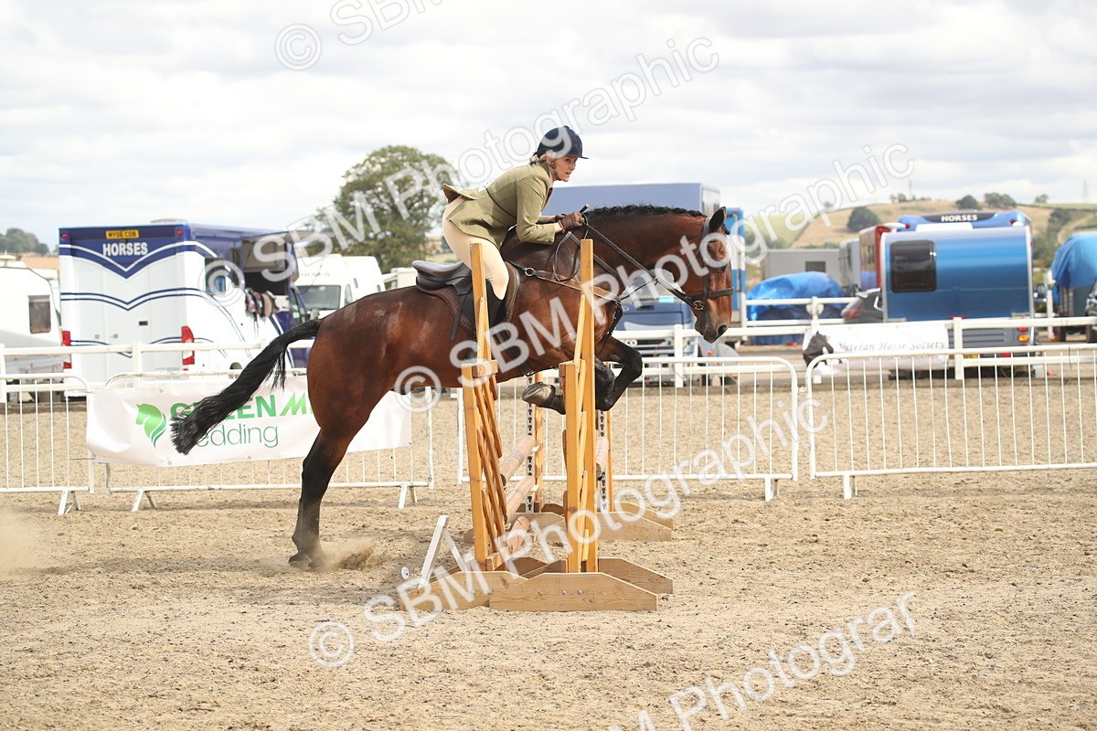 SBM_17877 - Class 508b - Working Veteran 70cm (20+)