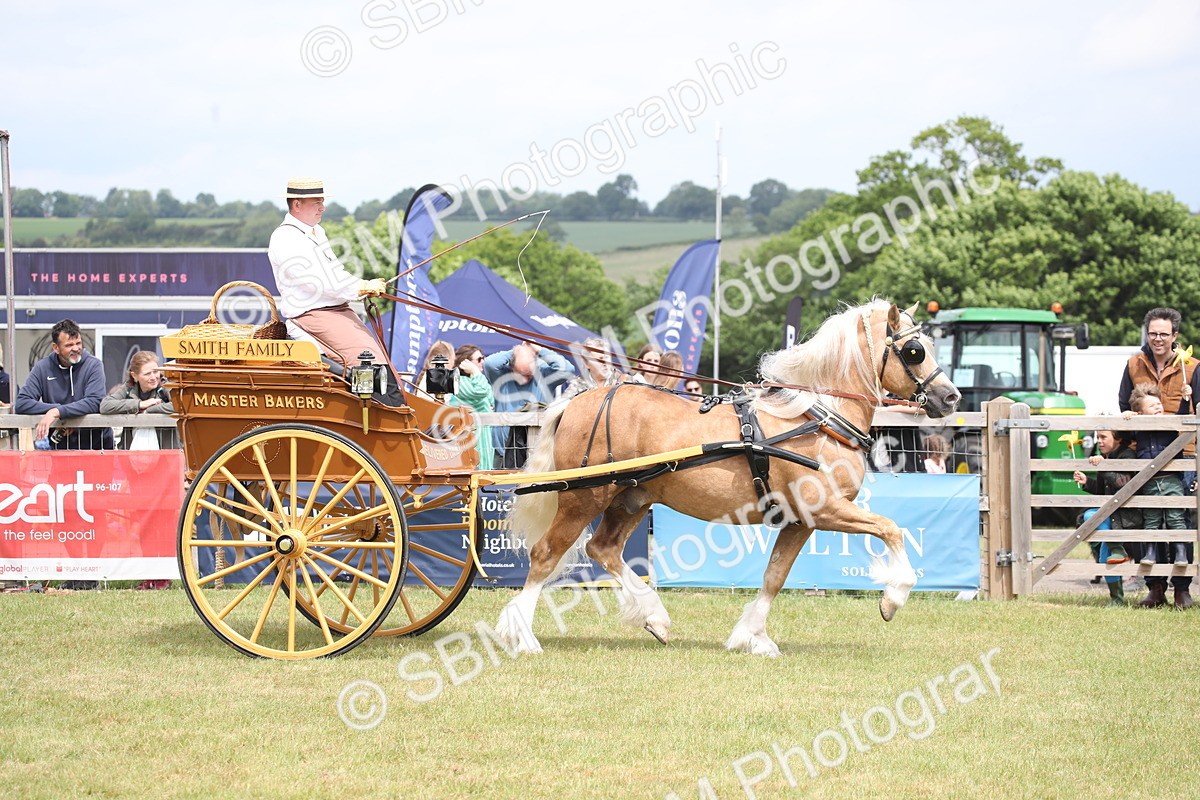 SBM_06976 - Class 16 - Light Trade