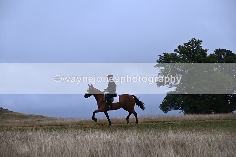 DSC_2053 - Time at Statue 12:13 to 12:32