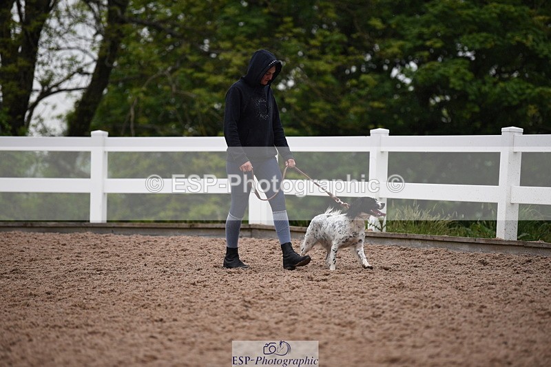 240518A-124734-01196 - Cls 5 Best Purebred