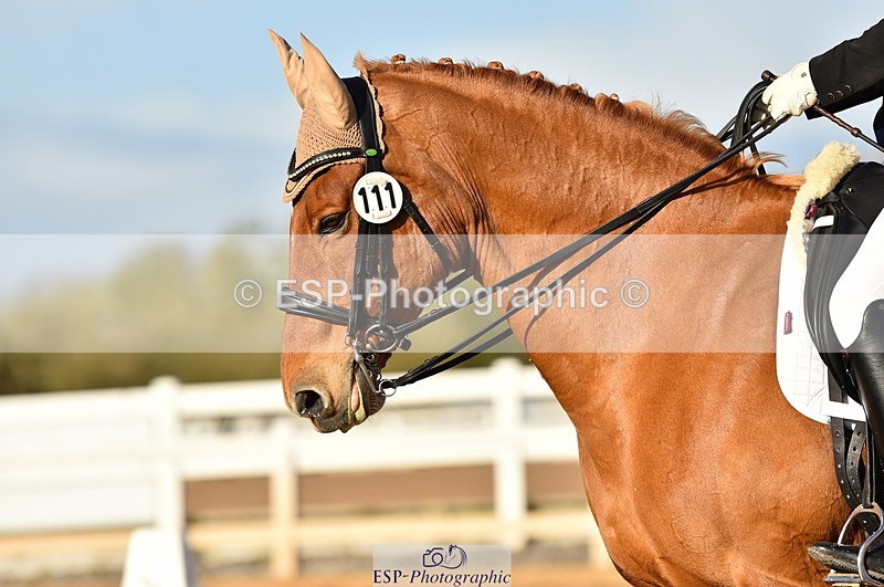 231104A-134236-01897 - Cls 10 Medium 61