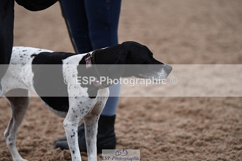 240518A-125928-01218 - Cls 6 Best Veteran