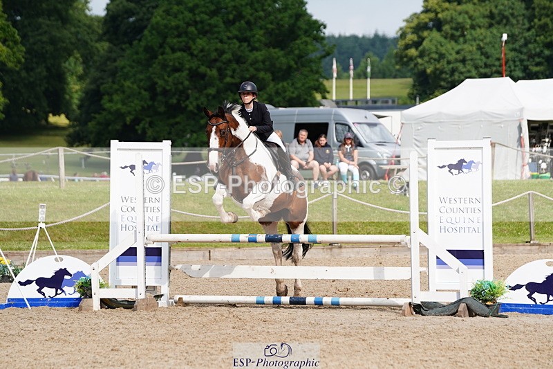 250615A-091604-09796 - Class 43 British Novice 90cm Open