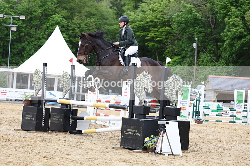 3E7A6535 - Class 4: Senior British Novice/90cm open