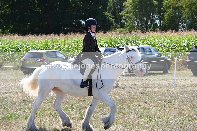 WJ6_8988 - Class 38 Ridden Riding Horse/Pony