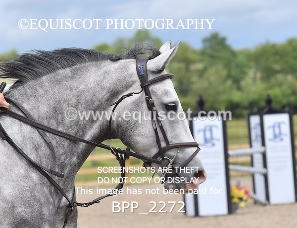 BPP_2272 - SAT CLASS 12 Senior Newcomers/ 1.10m Open