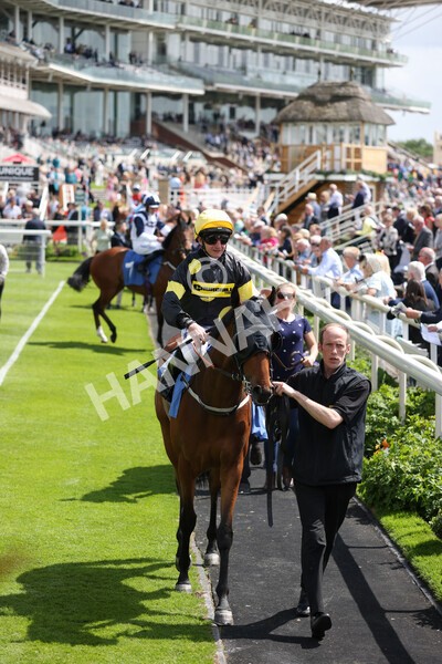 yr10062022r2-5 - Race 2 2.30pm SKF Rous Selling Stakes