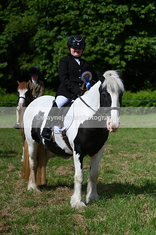 WJ7_0826 - Class 8 First Rally Pony