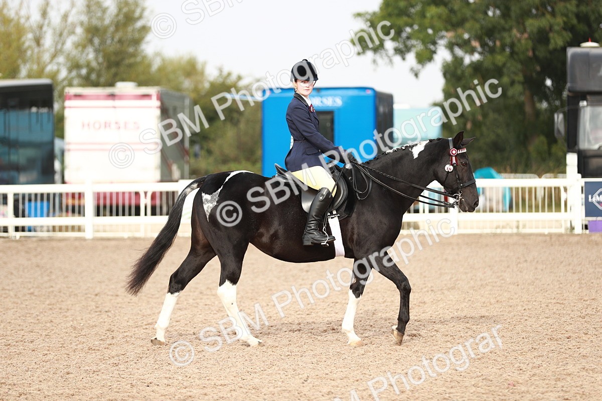 SBM_09411 - Class 202 Best Turned Out Ridden