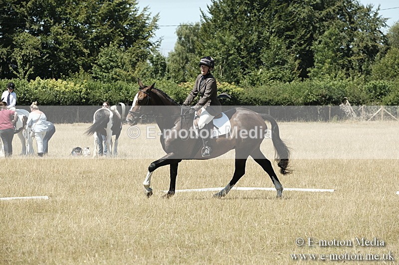 _PJP5921 - Dressage Classes BVRC Show 2018