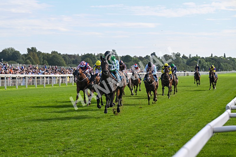 060926-Race 4-Stoneacre Donny-8025 - Race 4 3.15pm Saltmoore Collection Handicap