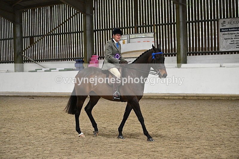 WJ7_4432 - Class 17 Ridden Cob