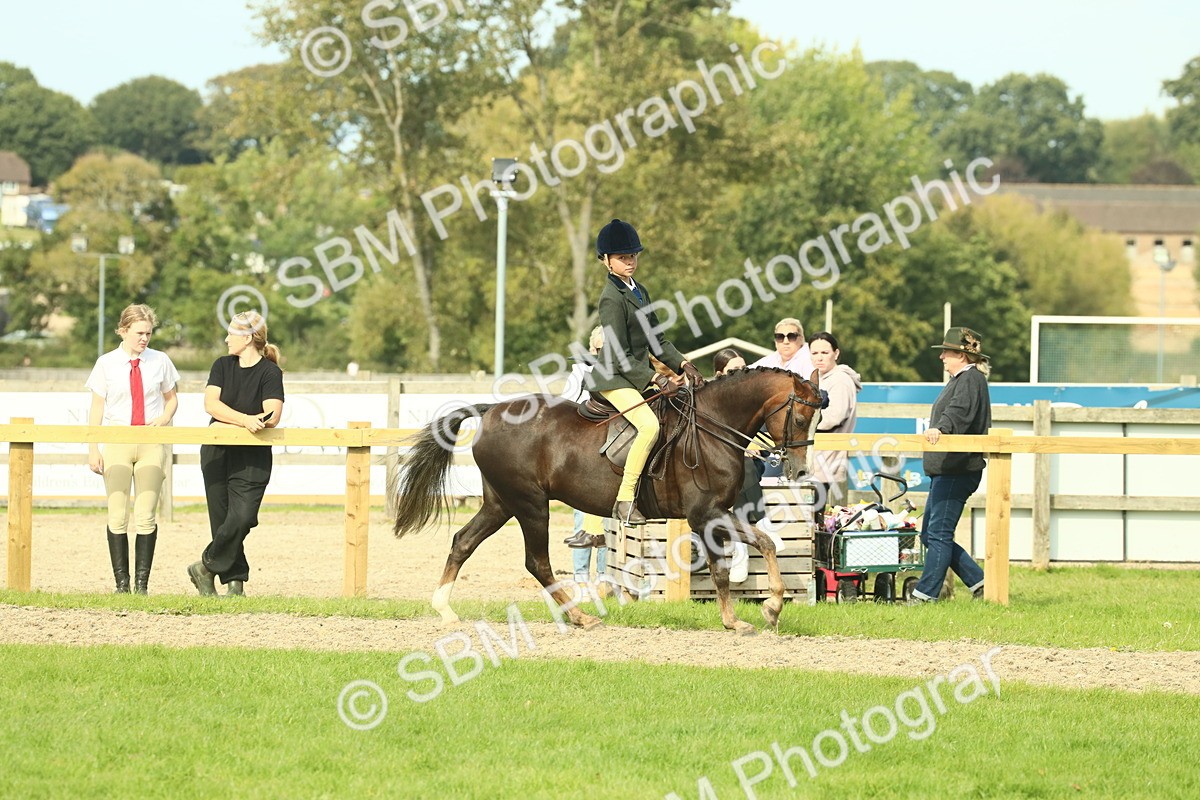 SBM_68068 - S57 - Part Bred Pony Ridden