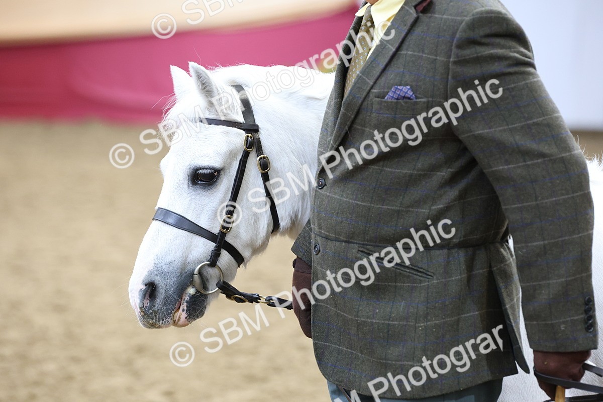 SBM_21870 - Class 901 - Supreme Final - IH  Diamond