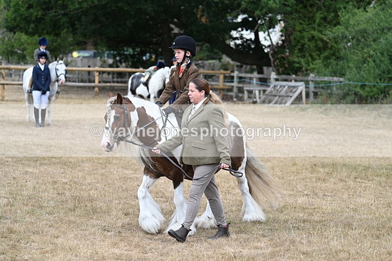 WJ7_6729 - Class 1 Lead Rein Pony