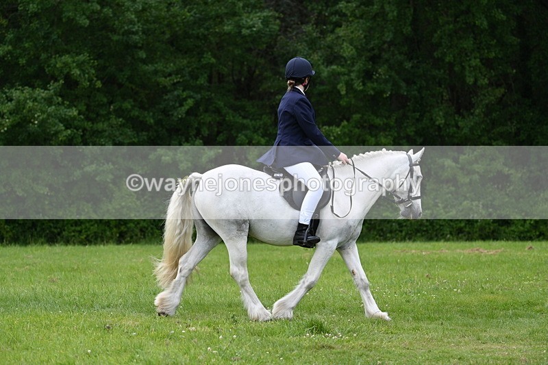 WJ7_2610 - Class 12A Coloured Class