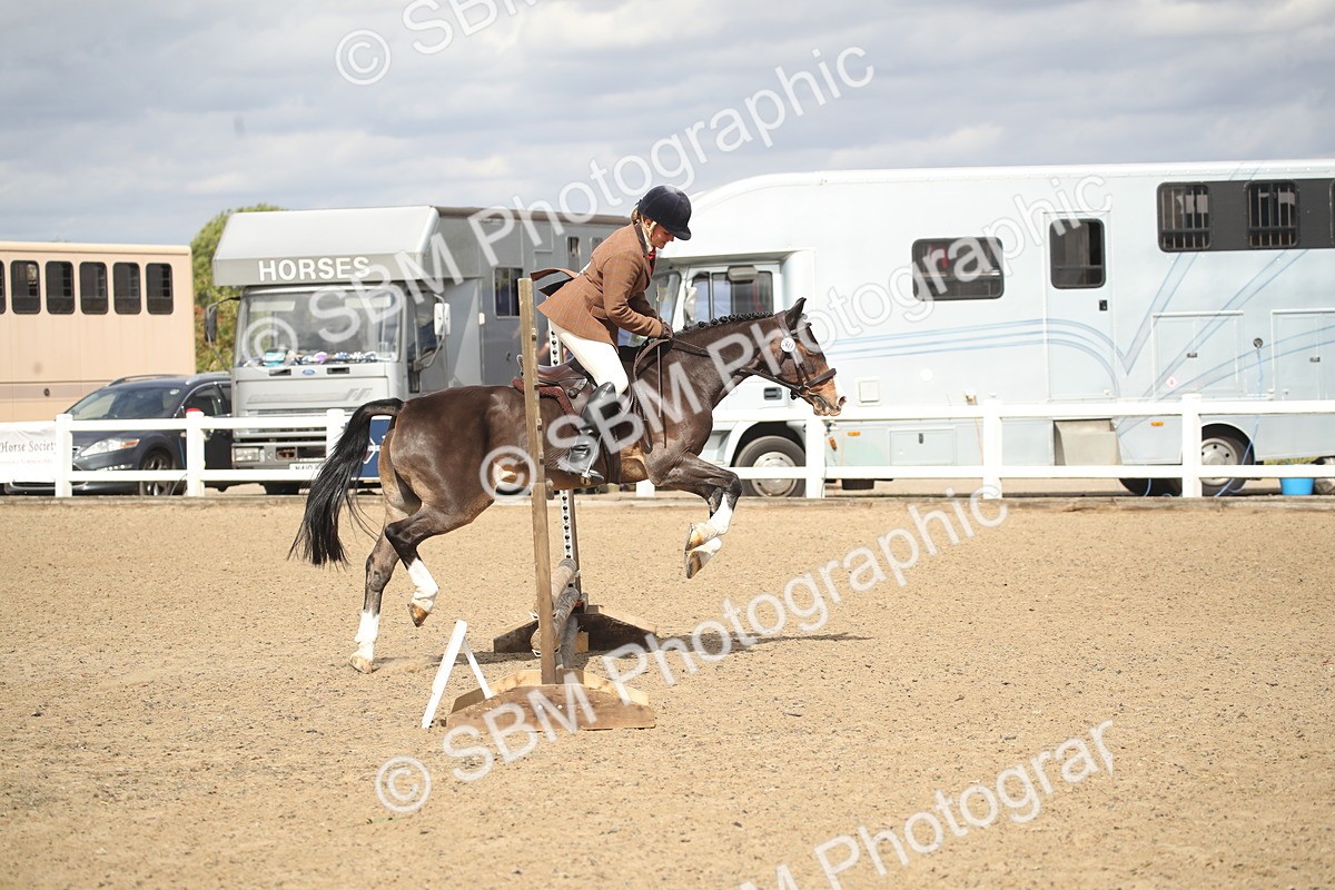 SBM_15272 - Class 506b - Working Veteran - 50cm (20+)