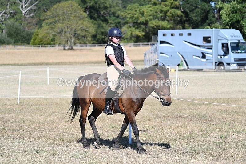 WJ7_2020 - Class 44 Child's Best Friend