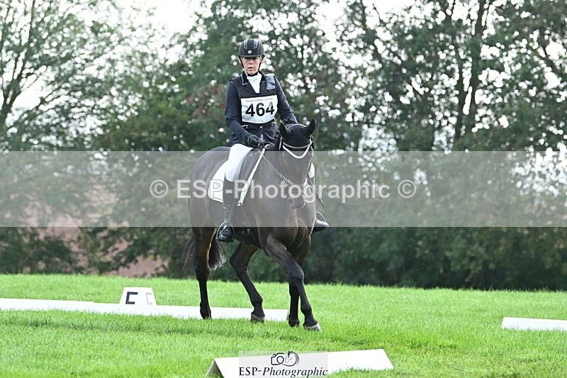 231020-094356-05743 - 464-IMPERIAL.TANGLE-Deborah.Burrell-DR