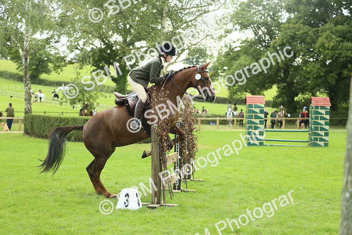 SBM_47958 - S32 - Novice & Newcomers Working Hunter