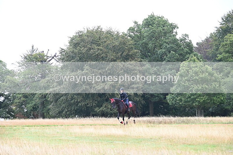 DSC_1683 - Time at Statue 12:13 to 12:32