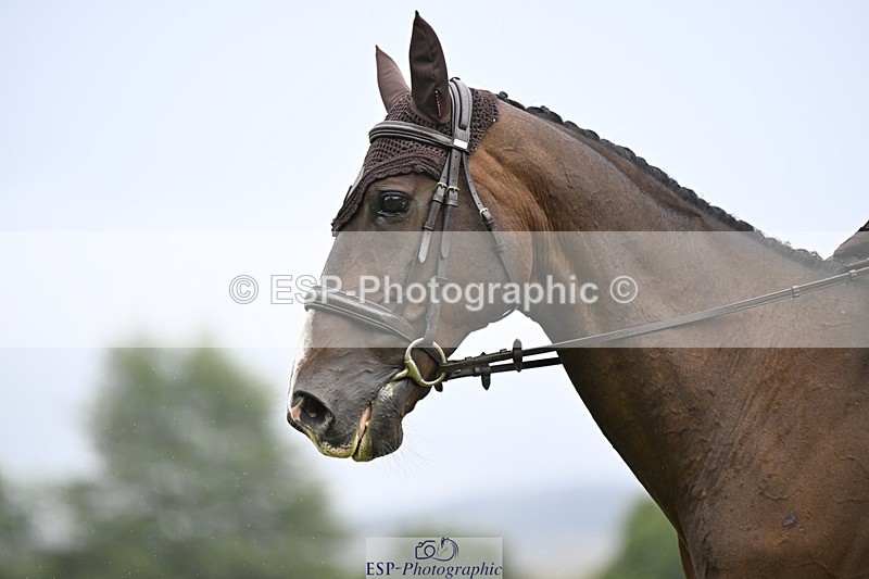 240824X-100009-21461 - D70 Section A and B 9.30 to 10.40