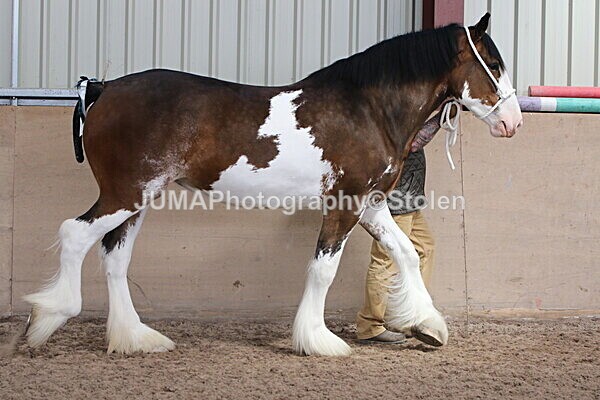 SIAL0162 - Indoor Classes