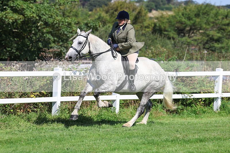 3E7A8417 - Class 4: Novice working Hunter