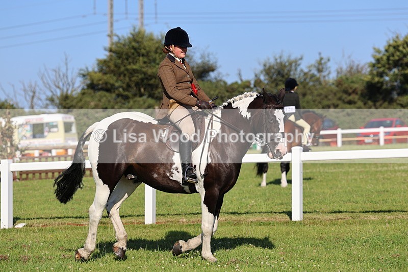 IMG_1414 - Class 28: Ridden Plaited Coloured Pony