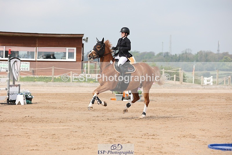 250424-110411-03369 - Cls 33 Young Horse 7yr old