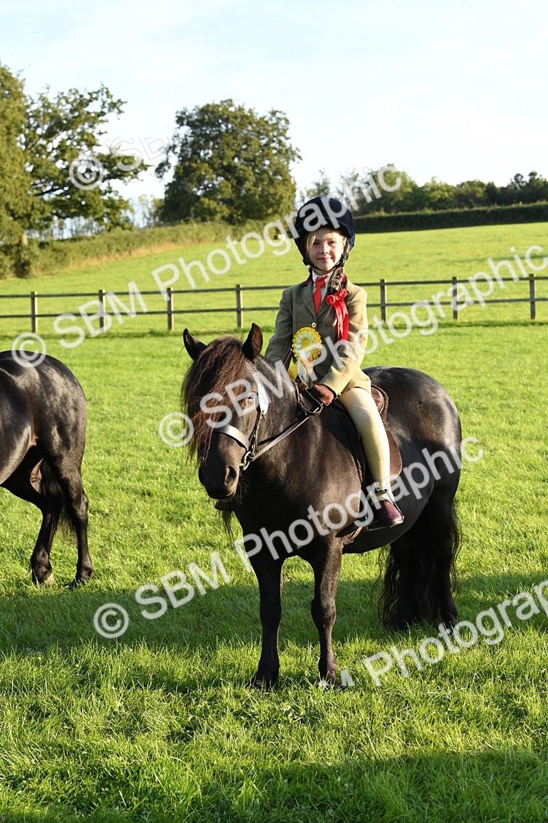 SBM_54183 - S23 - 1st Ridden Mountain & Moorland Pony