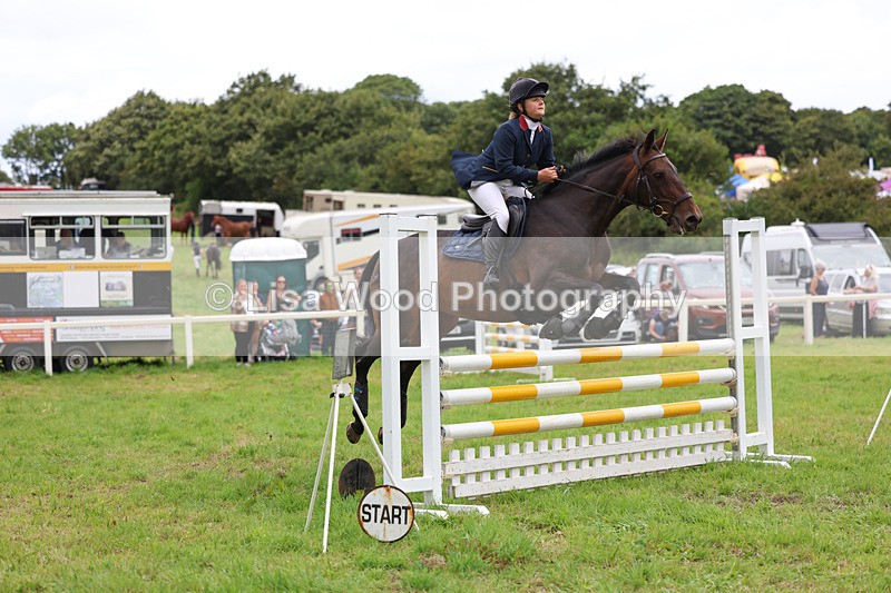 3E7A7182 - Class 5: Senior British Novice/90cm open