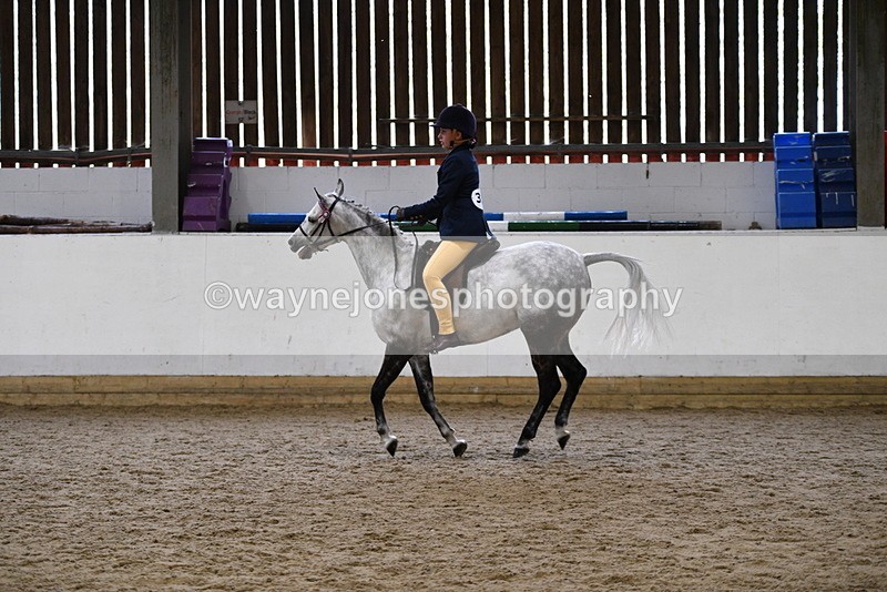 WJ5_7748 - Class 13 Ridden Part Breed