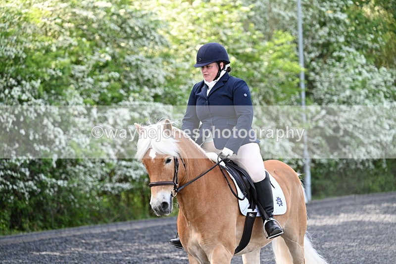 WJ7_7961 - Time 10:11 to 10:27