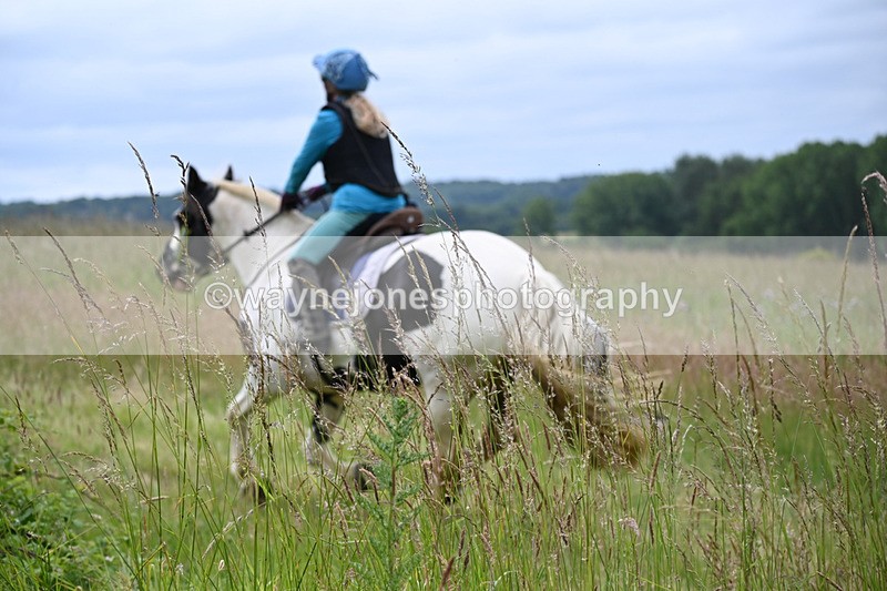 WJ6_8155 - Camera 1 Gallops