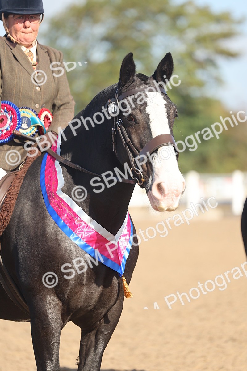 SBM_22241 - Class 802 - Ridden Groom Helpers Class