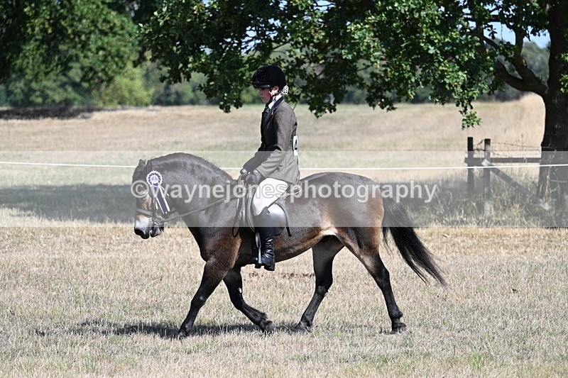 WJ7_4259 - Class 9 Mountain & Moorland Ridden