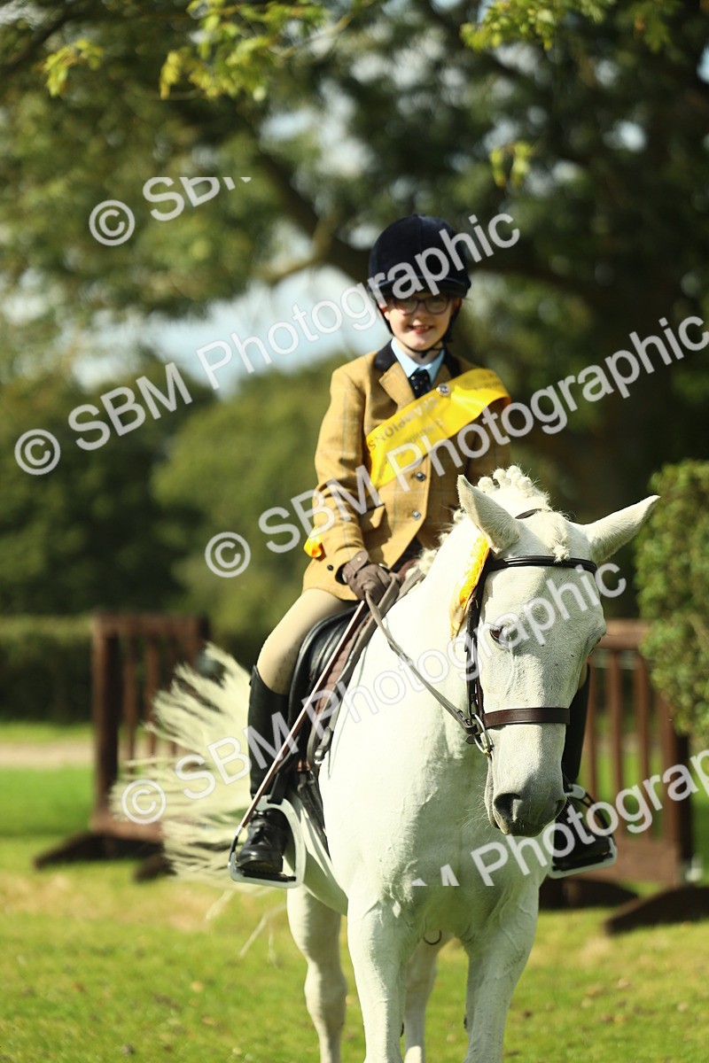 SBM_45001 - Working Hunter Pony Supreme Championship