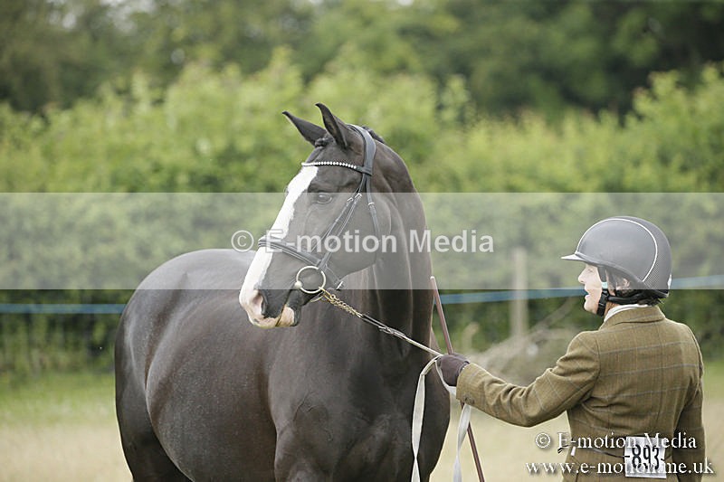 B230619-0267 - Bourne Valley Riding Club Summer Show 23/06/19