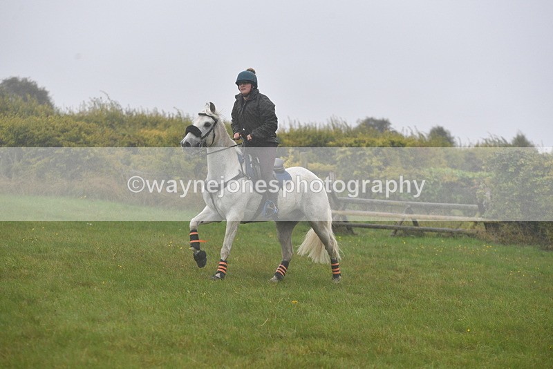 WJ5_7334 - Time 15:26 to 15:42