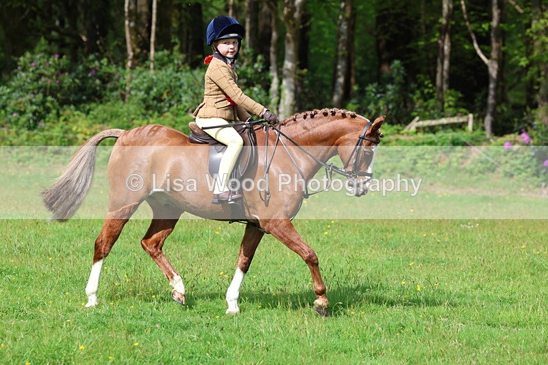 3E7A2623 - Working Hunter Championship