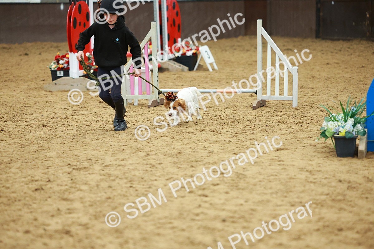 SBM_002526 - Class 3 - Horse & Hound (60cm)