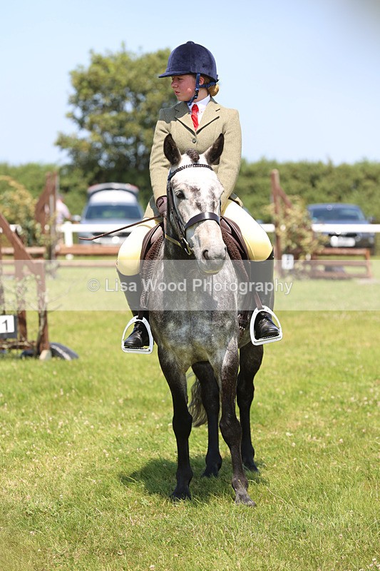 JPP_2778 - Class 21: Working Hunter 60cm