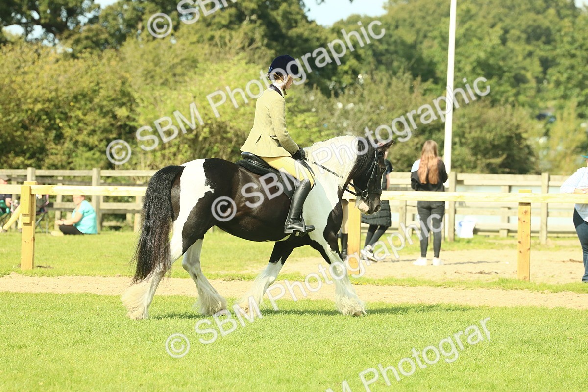 SBM_67587 - S56 - Coloured Pony Ridden