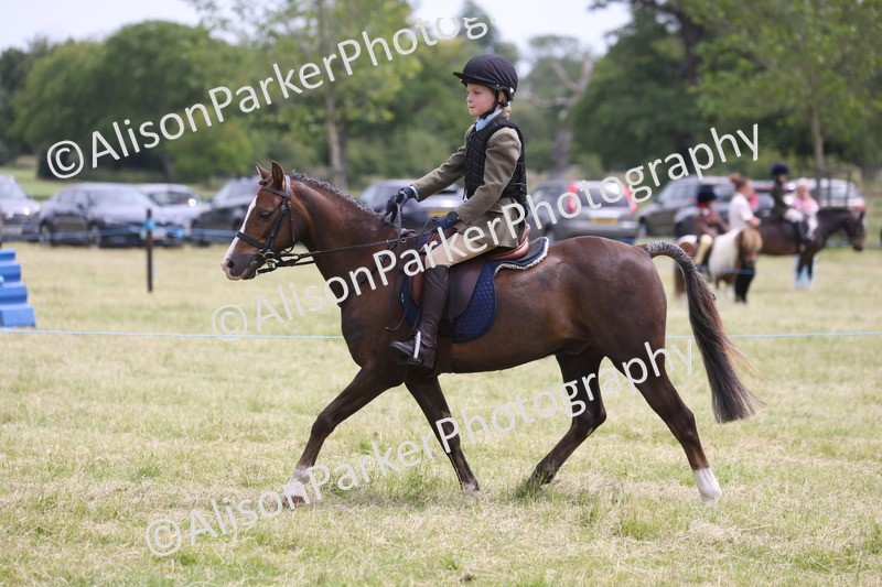 20260614-2863 - Class 22 - Open Working Hunter
