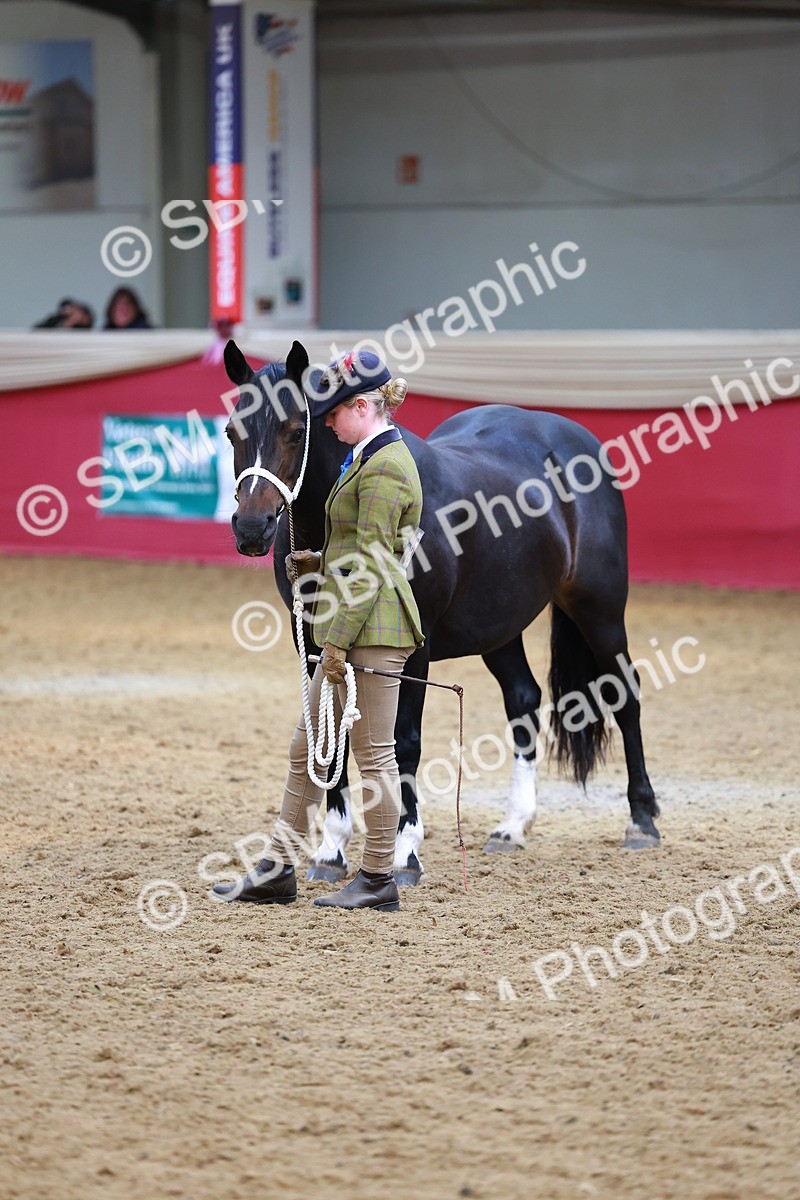 SBM_04316 - Class 9R - IH Pre-Vet